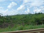 20346P1020203.JPG