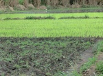 2012-09-07_10-01-30_CIMG6612.JPG