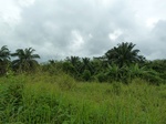 18178P1000016.JPG