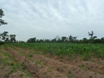 18408P1000244.JPG