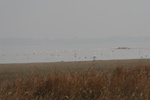 4213IMG_8851.JPG