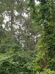 2017-06-12_18-06-25_20170605_155843.jpg