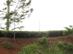 13842IMG_4114.JPG