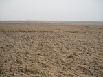 8515IMG_0341.JPG
