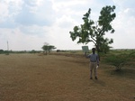 7872gt072a-rangelands-scattered-crops.jpg