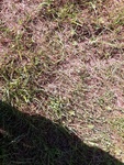 2016-08-05_04-25-05_IMG_20160719_110005.jpg