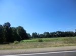 57103CIMG2402.JPG