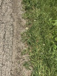 2017-05-29_15-13-20_F4FEBE1E-3C93-42BF-9ED4-34DA15AB4ABF.jpg