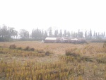 4595RIMG0037.JPG