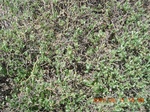 2012-09-27_14-25-52_263.JPG