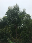 2017-09-11_22-22-44_3A82C12A-6109-4B4D-A5E4-7D85760A9635.jpg