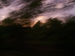 17374100_2060.JPG