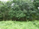 20402P1020259.JPG