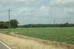 2022-05-26_15-09-53_A2F8D8C1-5BD1-4B44-BC45-4984572C6C6E.jpeg