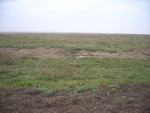 4572RIMG0024-1.JPG