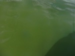 2012-09-21_14-27-12_CIMG3102.JPG