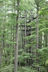 2018-04-14_14-44-53_2017-06-26 21.18.53.jpg