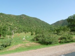19334P1010180.JPG