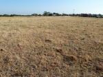 39300WATO20110809N.JPG