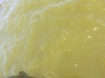 2012-09-21_14-25-48_CIMG0127.JPG