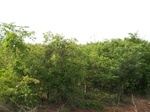 17351100_2037.JPG