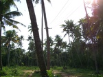 542810052008(40).JPG