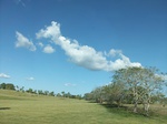 5768100_1363.JPG