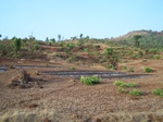 508020042008(155).JPG