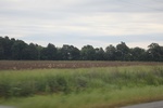 2022-06-12_15-42-56_1EF7E976-4718-4CB8-B8DE-9EC6EB9F719F.jpeg