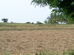 17556100_2817.JPG