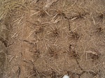 3285R0017319.JPG