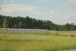 2022-06-11_17-48-53_8932425E-D355-4551-BC4F-DA5F19FD3DA4.jpeg