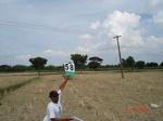 6299058b-irrigated-supplemental-major-groundwater-rice-dominant-sugarcane-doublecrop.jpg