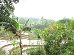 15226IMG_4048.JPG