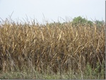 2012-09-12_09-02-01_IA-DL-14-10.jpg