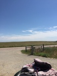 2017-07-04_12-48-52_2427103D-1DA6-4A83-BB48-5409DBB11BC7.jpg
