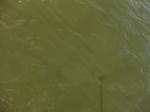 2012-09-21_14-26-08_CIMG3202.JPG