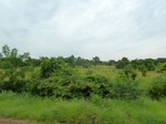 18362P1000198.JPG