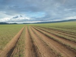 18080P1030010.JPG
