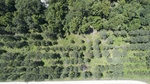 2017-06-12_13-57-38_DJI_0043.jpg