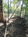 2012-09-24_10-40-20_DSC03096.JPG