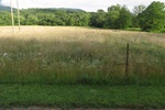 2017-07-05_14-17-46_Ground facing.jpg
