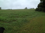 2012-10-05_19-36-50_TN-MT-77-1.JPG