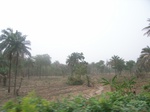 3976RIMG0280.JPG