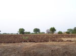 515822042008(108).JPG