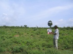 1050447-croplant-chena-permanant-5yr-a.gif