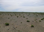 37030CIMG0822.JPG