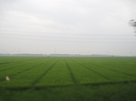 14461IMG_4814.JPG