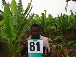 6377081e-irrigated-supplemental-tubewell-banana-rice-groundnut-castrol.jpg