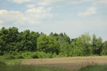 2022-06-11_15-55-27_155475CC-EF2C-4740-A44F-62C88C6A5F09.jpeg